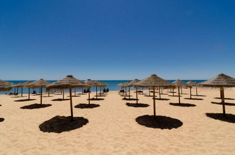 كوارتيرا Ocean View 1 Bed Room Flat المظهر الخارجي الصورة
